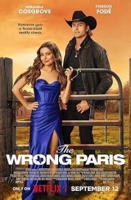 The Wrong Paris poster